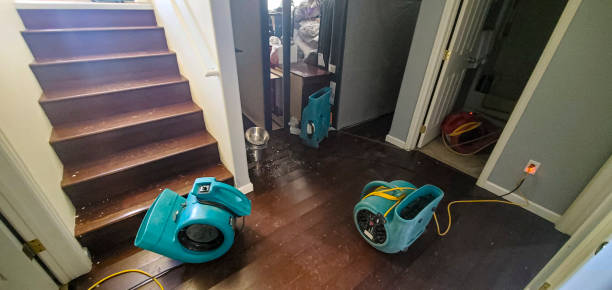 Best Residential water damage restoration  in Northwoods, MO