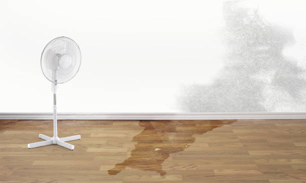 Best Fire Damage Restoration  in Northwoods, MO