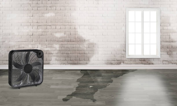 Best Water damage restoration near me  in Northwoods, MO