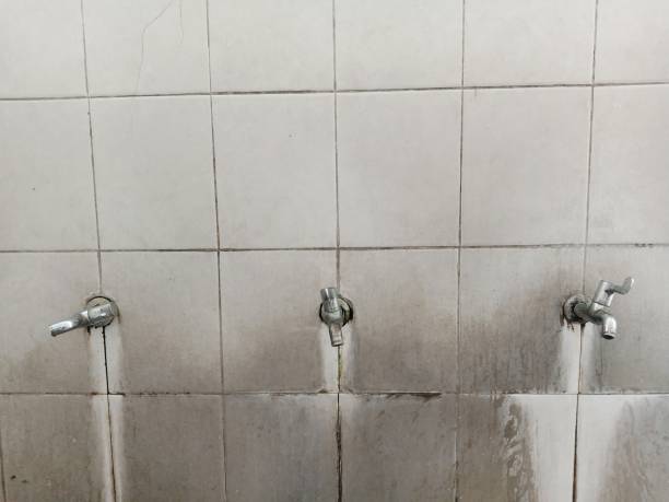 Best Basement water damage restoration  in Northwoods, MO